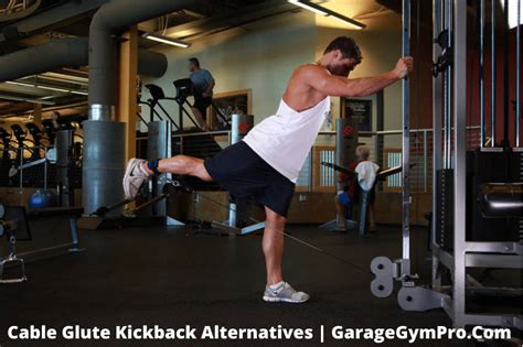 cable kickback alternative at home|12 Cable Kickback Alternatives For Building Bigger and Stronger。